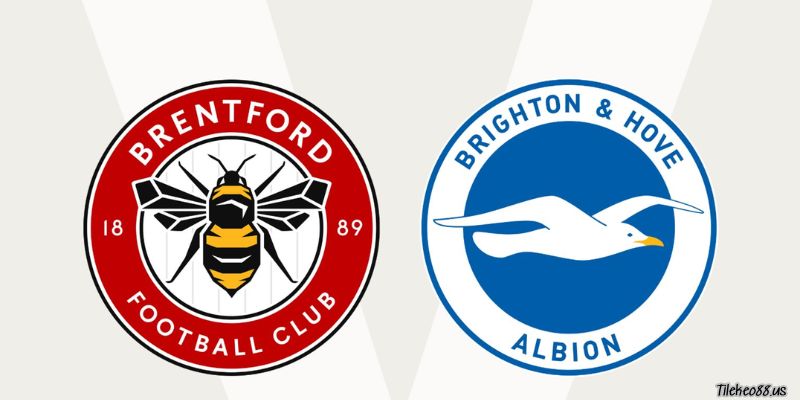 Thông tin trận đấu Brentford vs Brighton ngày 4 tháng 4